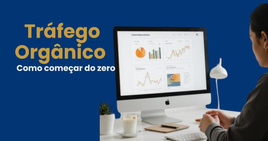 tráffego orgãnico :como começar do zero